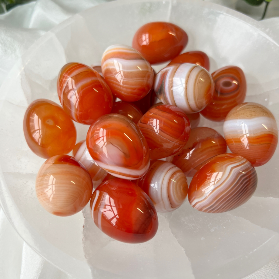 Carnelian Sardonyx Egg – Lunar Drift Apothecary