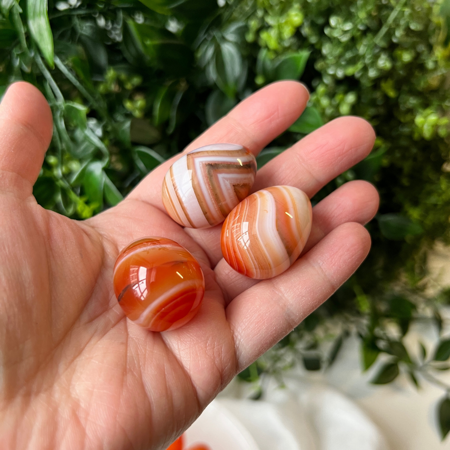 【カーネリアン】 エッグ ① CARNELIAN EGG カーネリアン 0.776ct - ルビー通販 ベルマックス